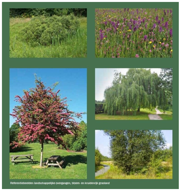 afbeelding binnen de regeling