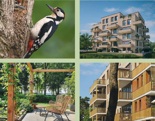 afbeelding binnen de regeling