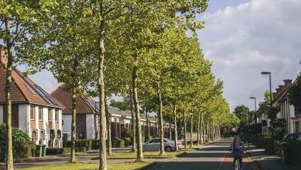 afbeelding binnen de regeling