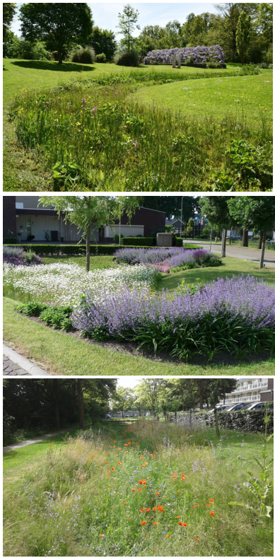 afbeelding binnen de regeling