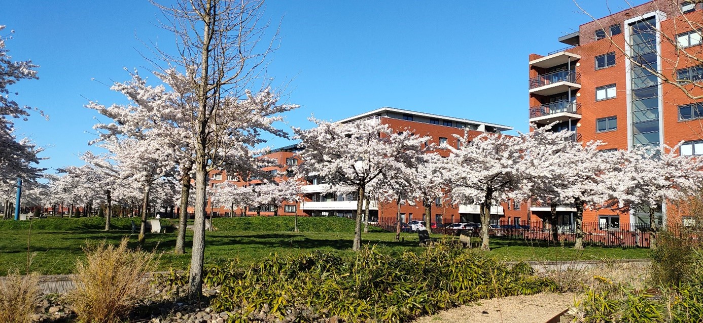 afbeelding binnen de regeling