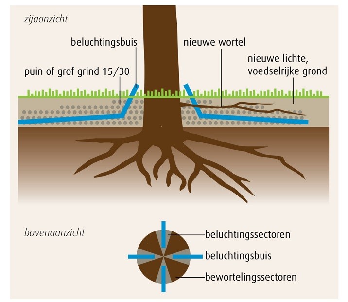 afbeelding binnen de regeling