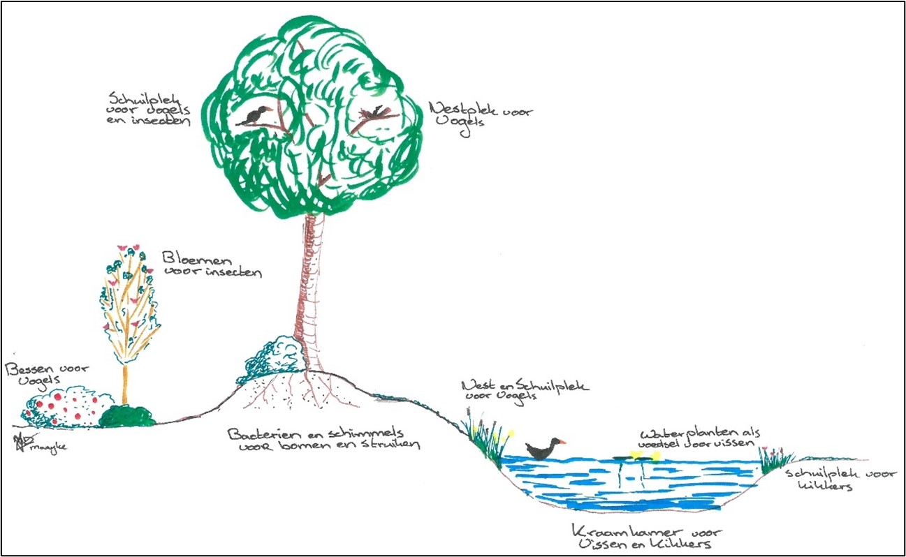 afbeelding binnen de regeling