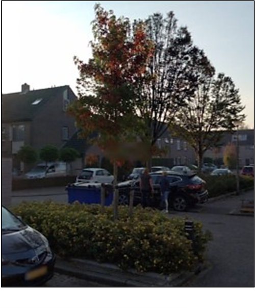 afbeelding binnen de regeling