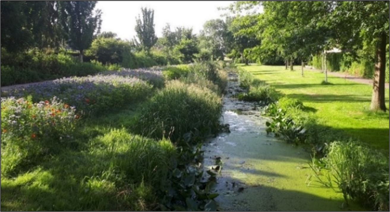 afbeelding binnen de regeling