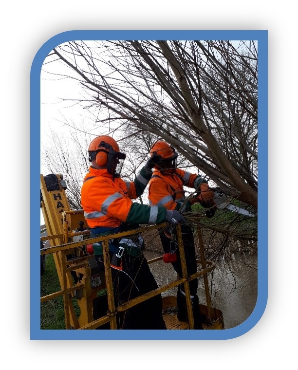 afbeelding binnen de regeling