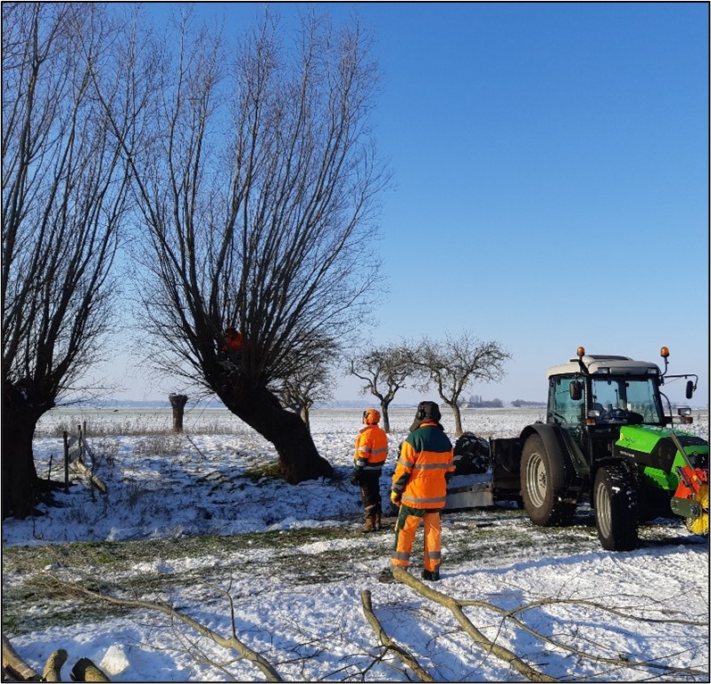 afbeelding binnen de regeling