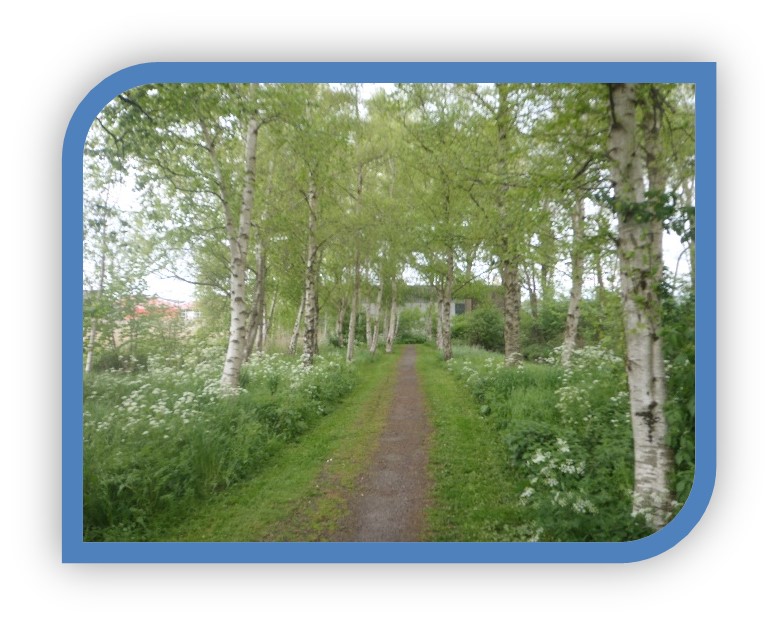 afbeelding binnen de regeling