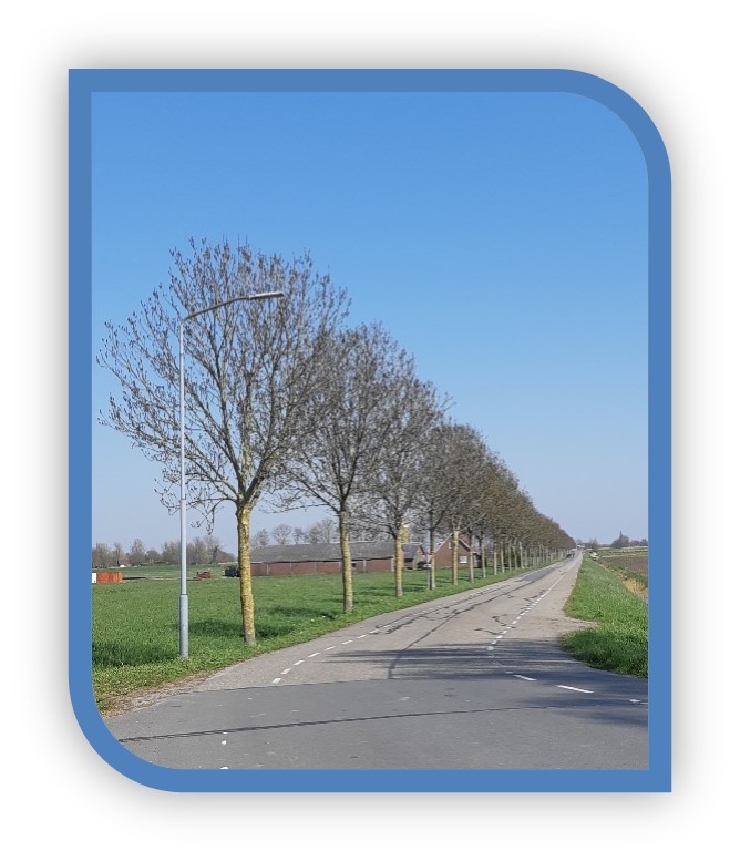 afbeelding binnen de regeling