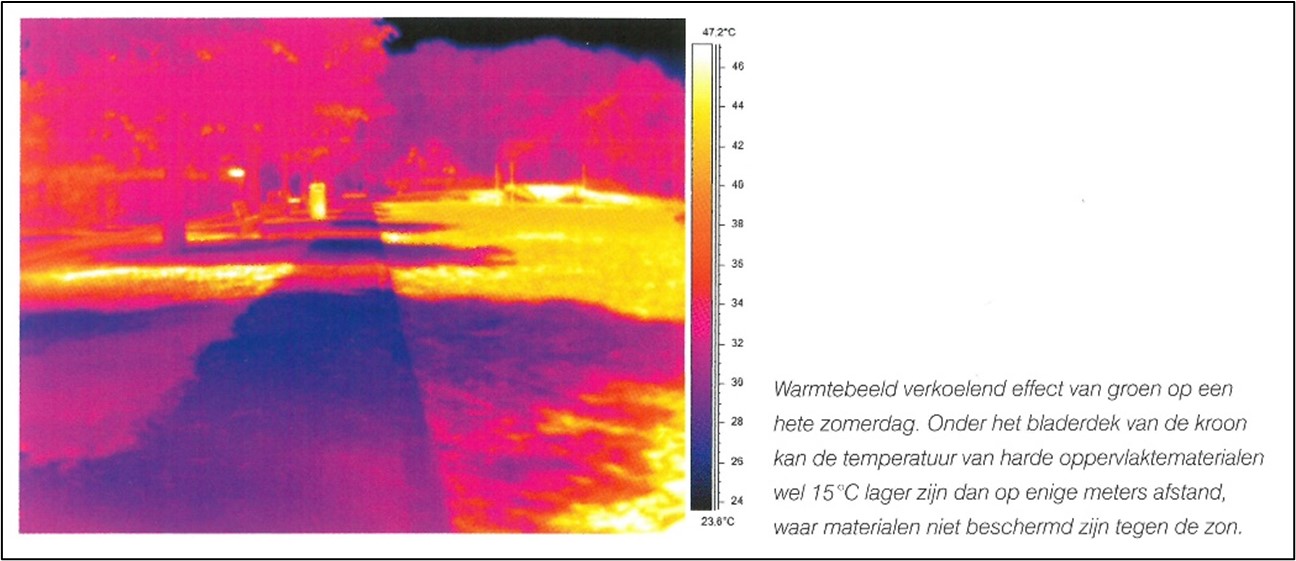 afbeelding binnen de regeling