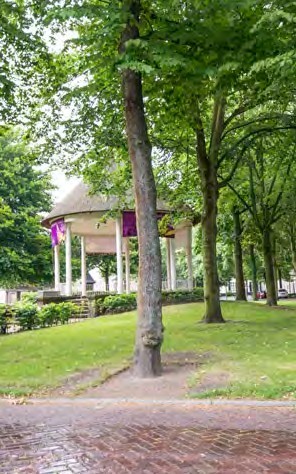 afbeelding binnen de regeling