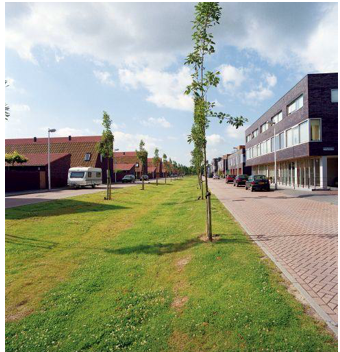 afbeelding binnen de regeling