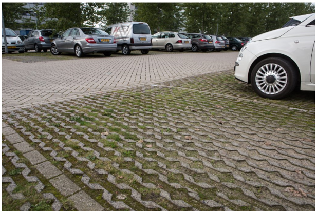 afbeelding binnen de regeling