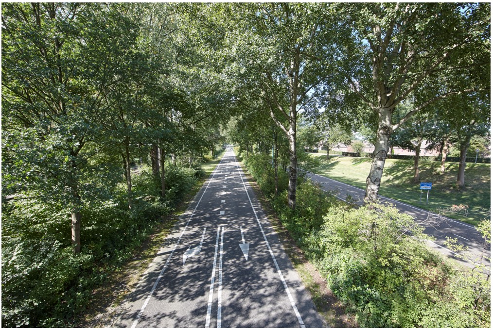 afbeelding binnen de regeling