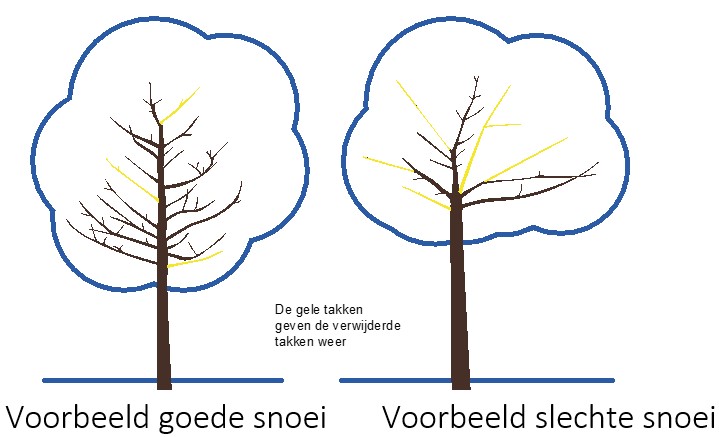 afbeelding binnen de regeling