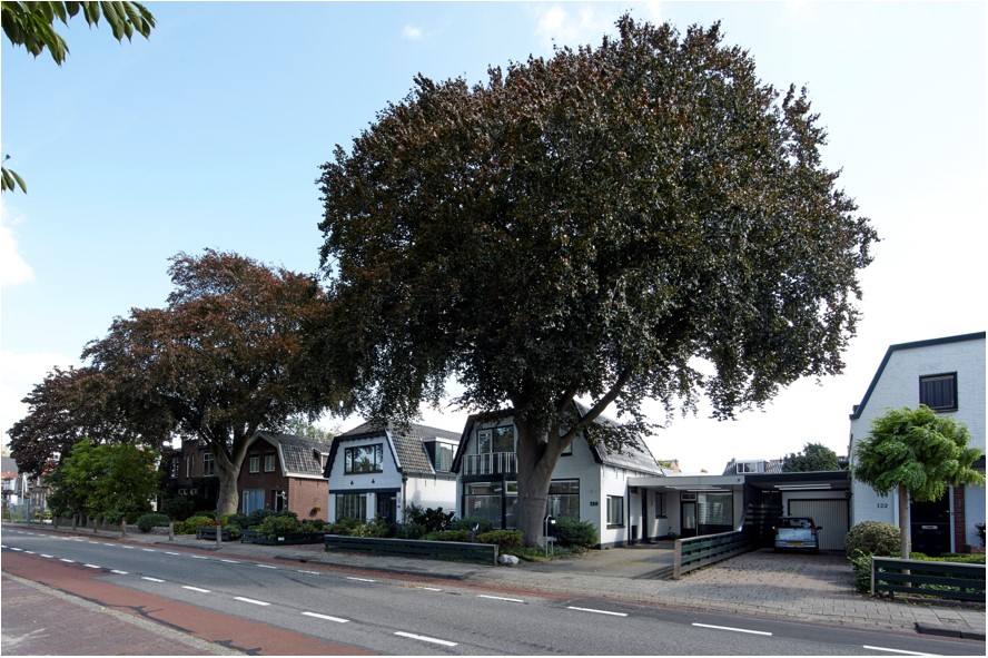 afbeelding binnen de regeling