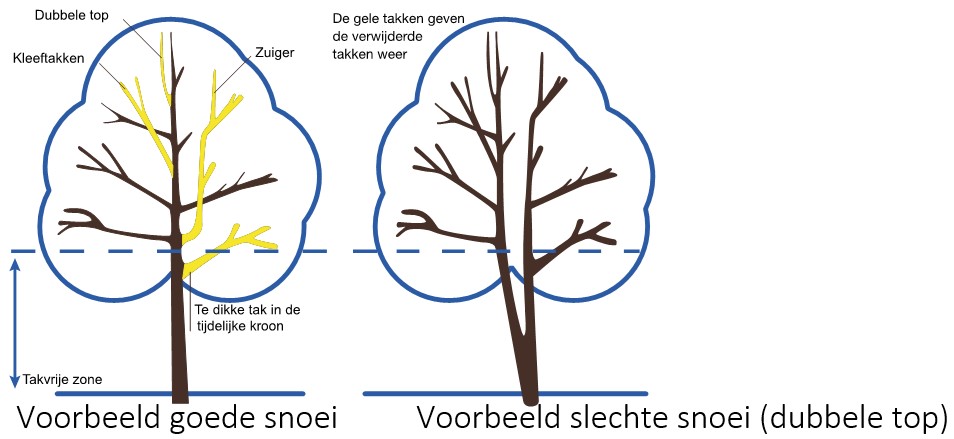 afbeelding binnen de regeling
