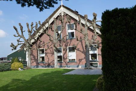 B025_01.jpg