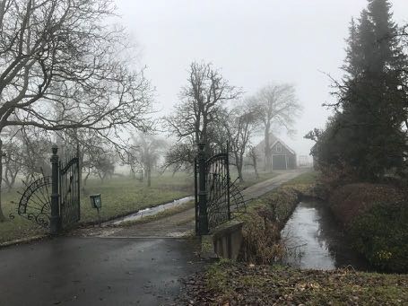 B196_02.jpg