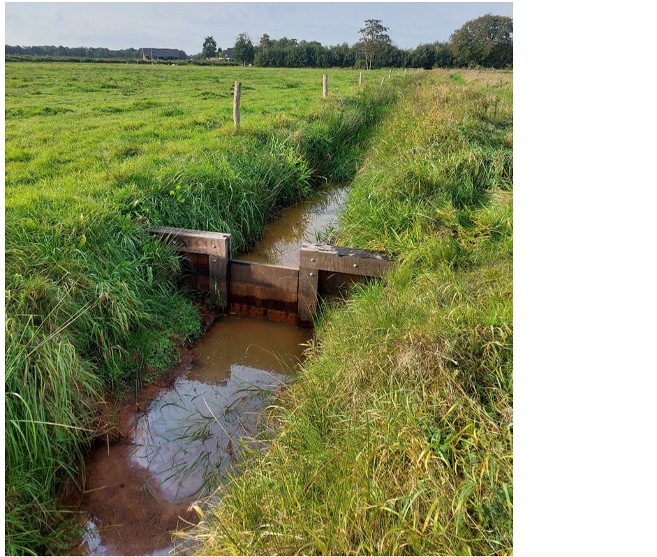 afbeelding binnen de regeling