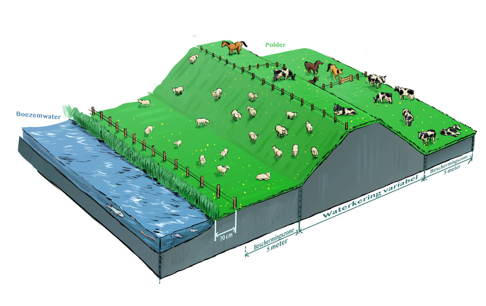waterschapsverordening - waterkering, dieren houden, boezemwater (voorland)