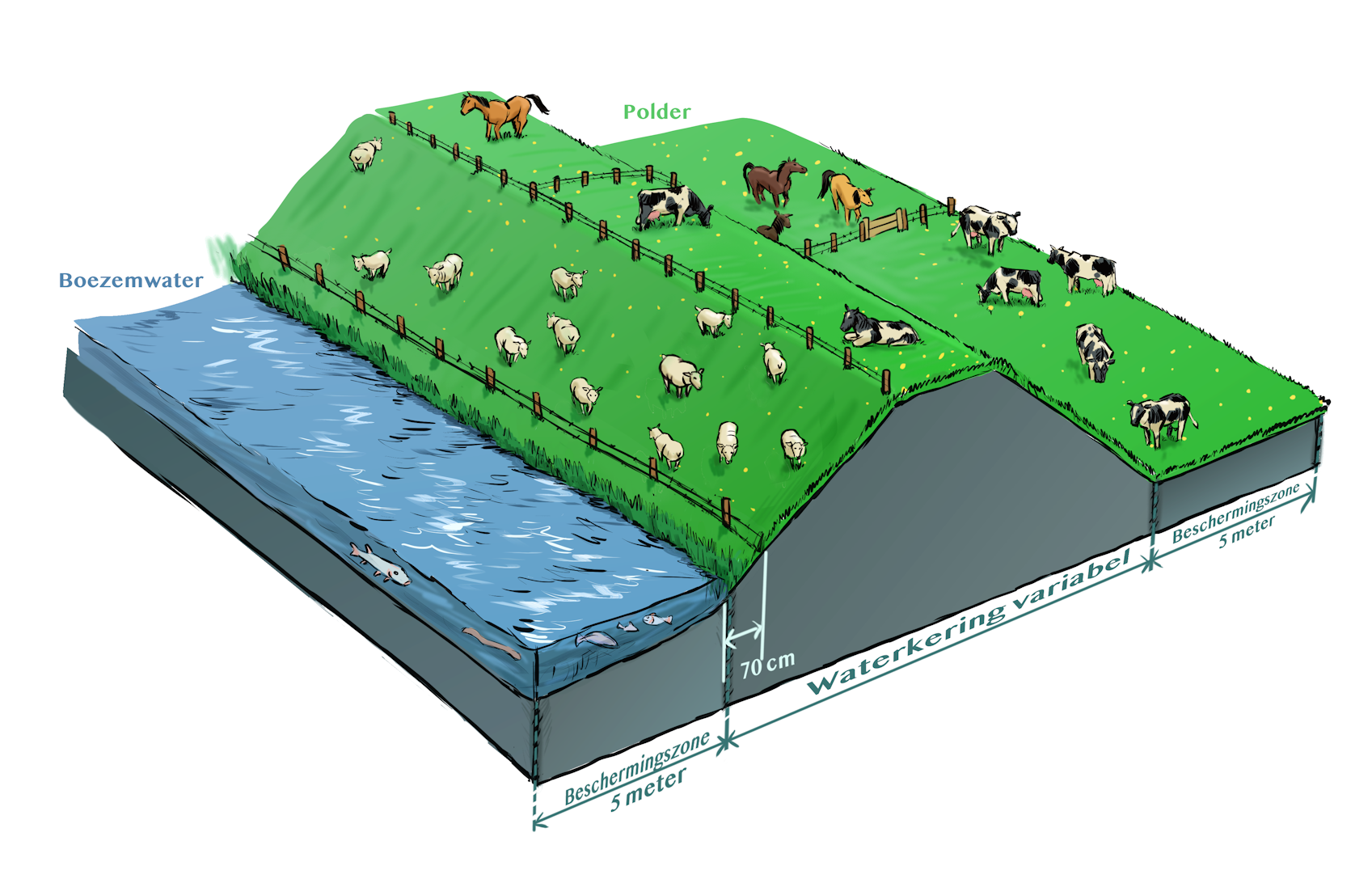 Waterschapsverordening - waterkering, dieren houden, boezemwater