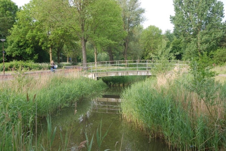 afbeelding binnen de regeling
