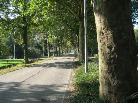 afbeelding binnen de regeling