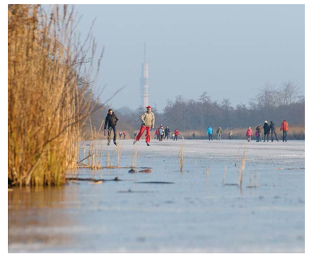 afbeelding binnen de regeling