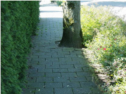 afbeelding binnen de regeling