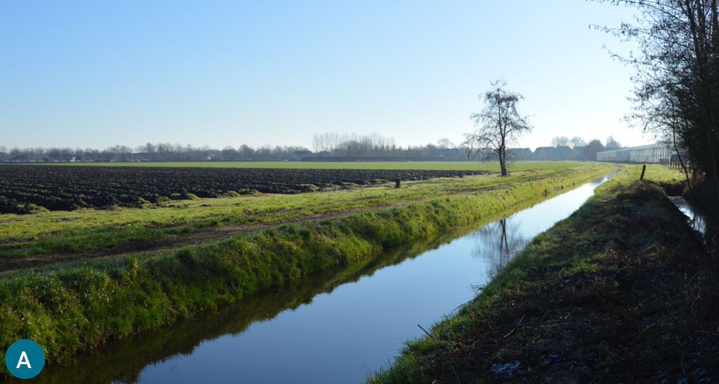 De Molenbroekseloop met links het plangebied