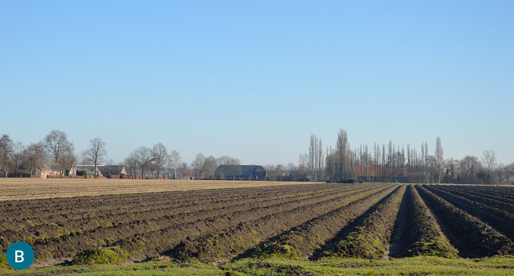 Het plangebied met op de achtergrond Deelse Kampen