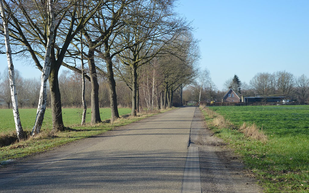 Huidig profiel van de Groenesteeg