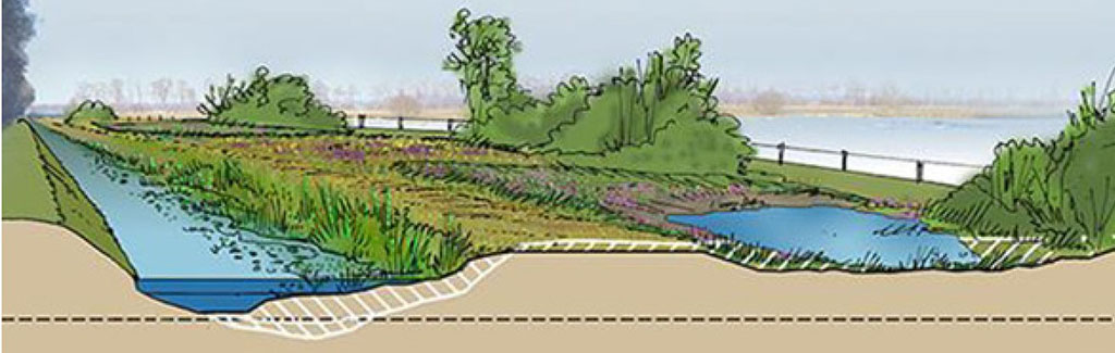 We benutten het lagergelegen nat gebied als retentie/overloop Gemert-Noord