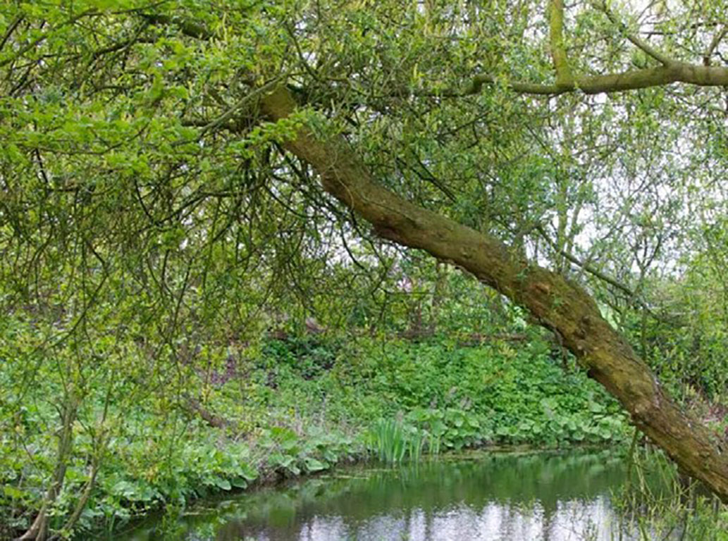 We leggen poelen aan (onderzoek benutten aanwezige kwel)