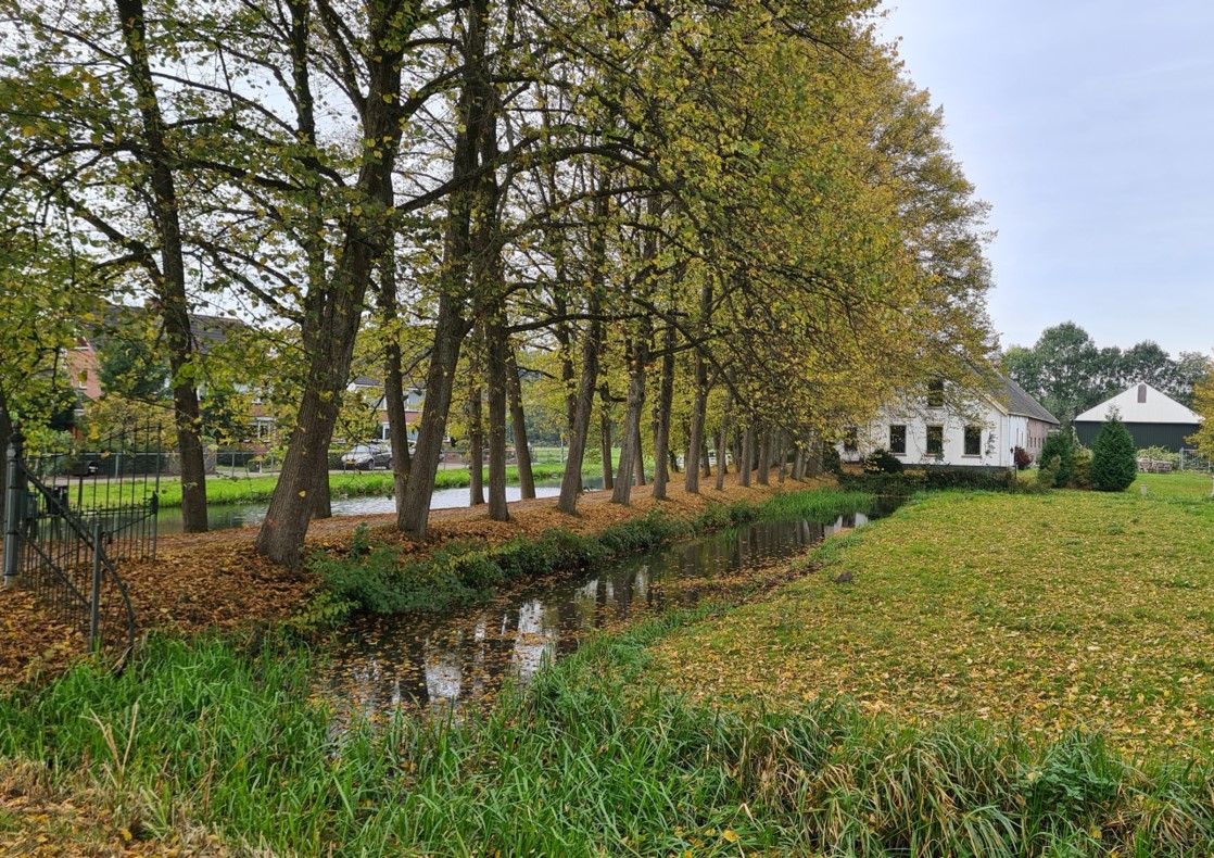 afbeelding binnen de regeling