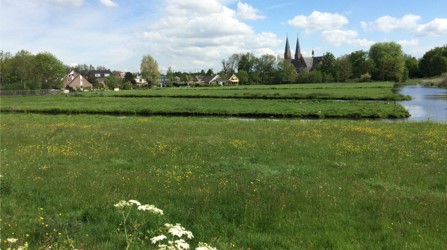 afbeelding binnen de regeling
