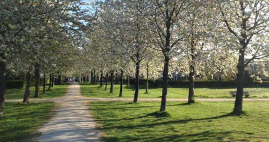 afbeelding binnen de regeling