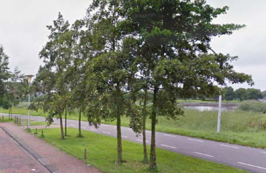 afbeelding binnen de regeling