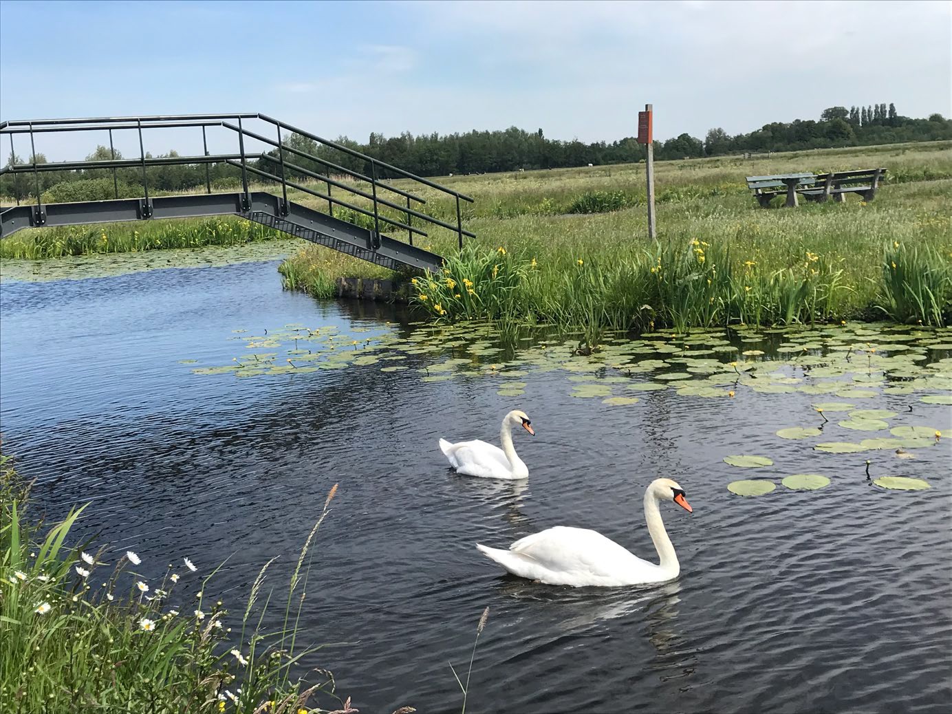 afbeelding binnen de regeling