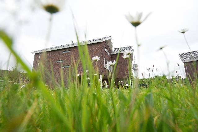 Afbeelding met buitenshuis, hemel, plant, gebouw&#10;&#10;Automatisch gegenereerde beschrijving