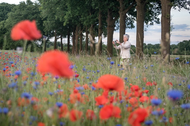 Afbeelding met buitenshuis, plant, gras, boom&#10;&#10;Automatisch gegenereerde beschrijving