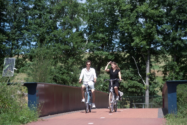 Afbeelding met buitenshuis, boom, Fietswiel, fietsen&#10;&#10;Automatisch gegenereerde beschrijving