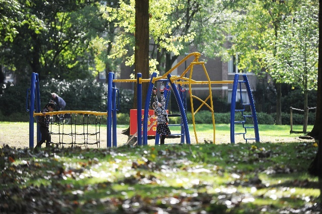 Afbeelding met buitenshuis, boom, Buitenspeeltoestellen, gras&#10;&#10;Automatisch gegenereerde beschrijving