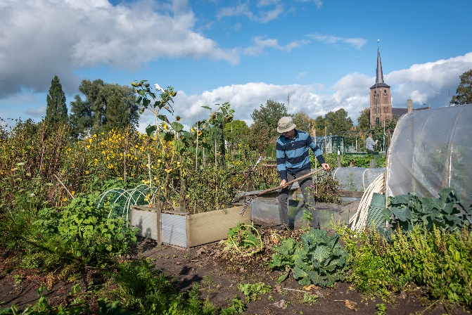 Afbeelding met buitenshuis, wolk, hemel, plant&#10;&#10;Automatisch gegenereerde beschrijving