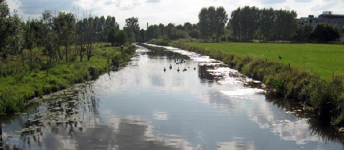 afbeelding binnen de regeling