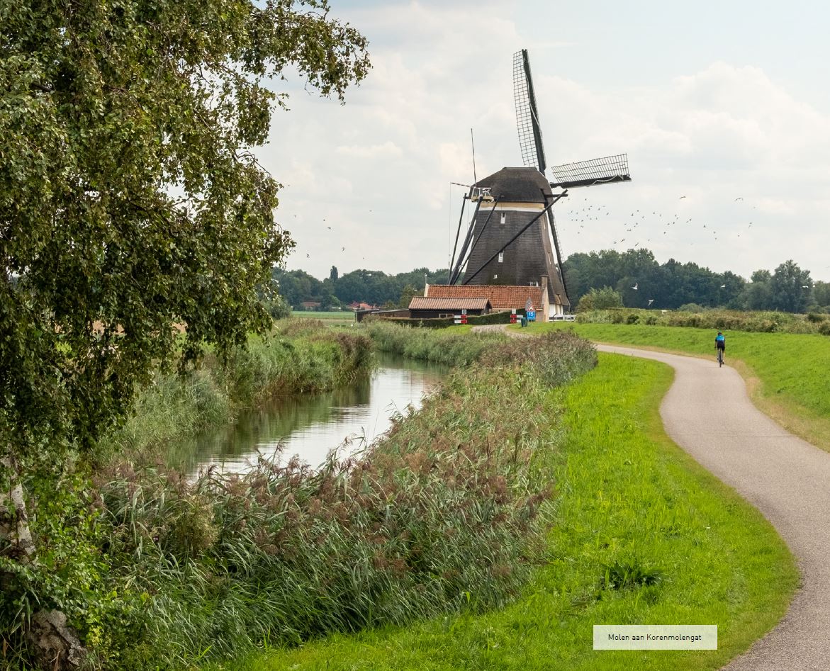 afbeelding binnen de regeling