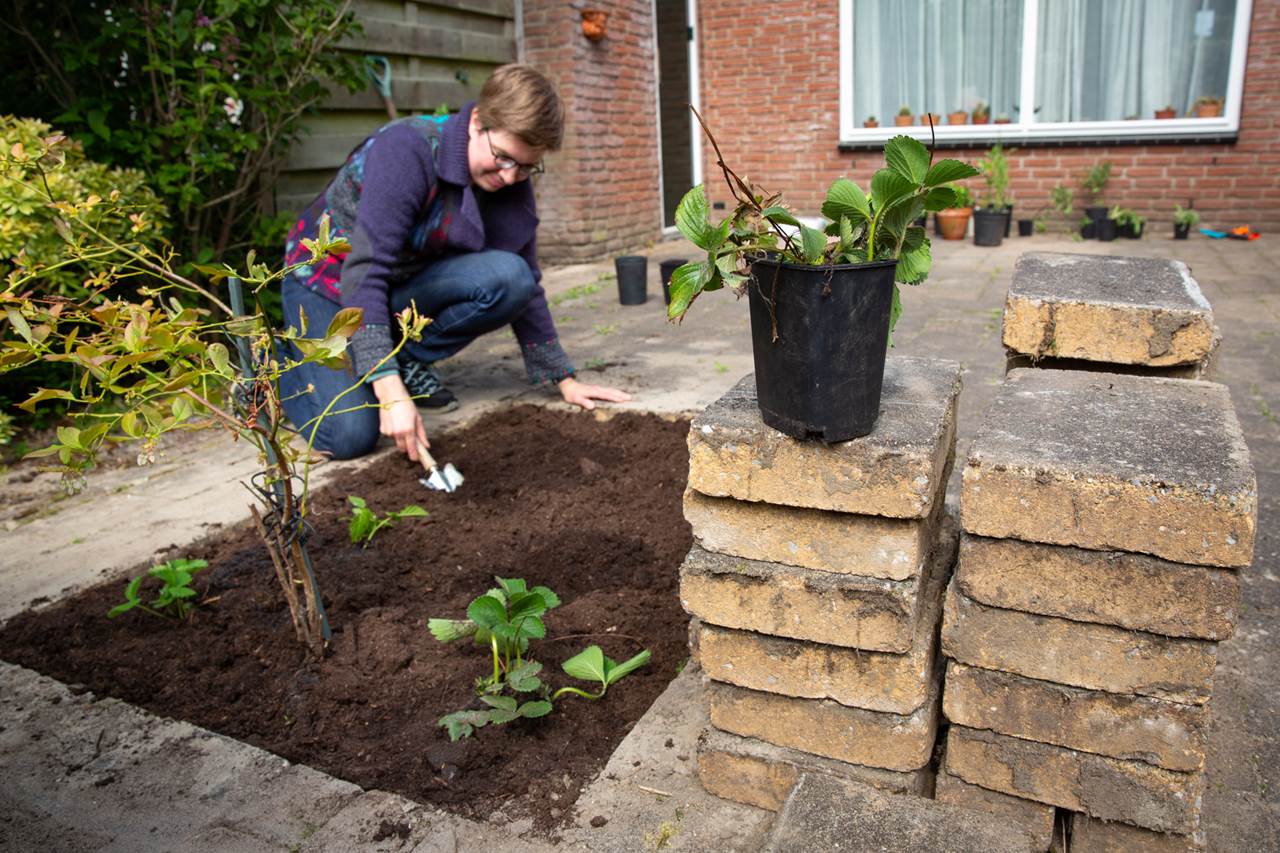 afbeelding binnen de regeling
