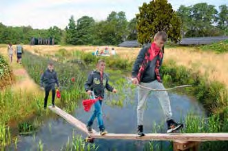 afbeelding binnen de regeling