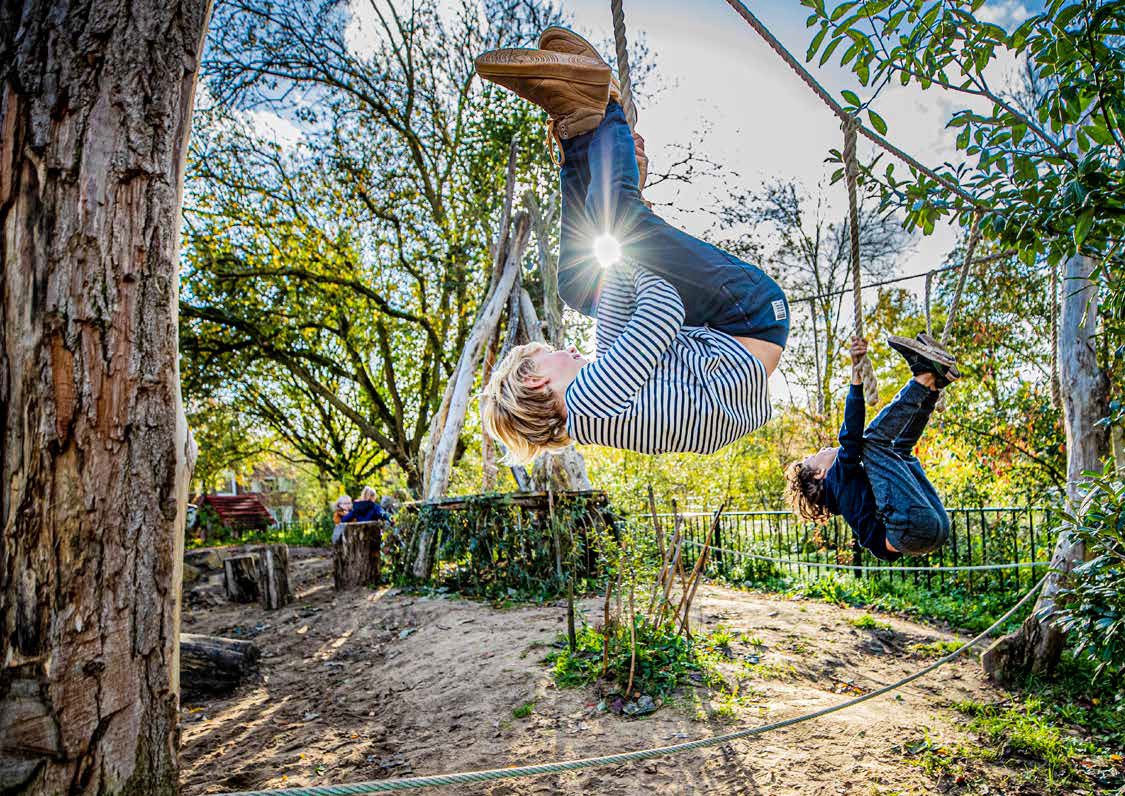 afbeelding binnen de regeling